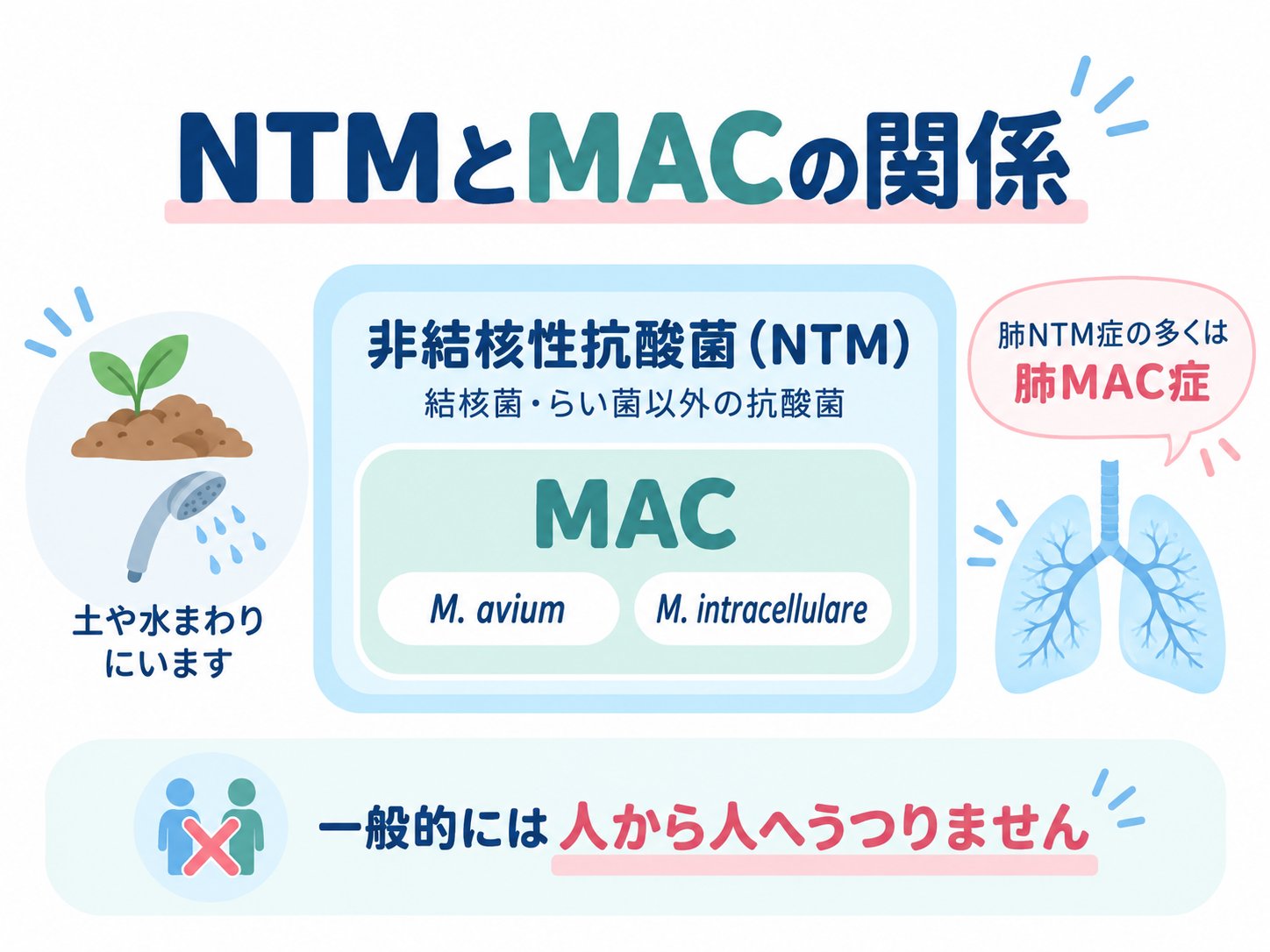 非結核性抗酸菌（NTM）の中にMACが含まれる関係図。肺NTM症の多くは肺MAC症で、一般的には人から人へうつらない